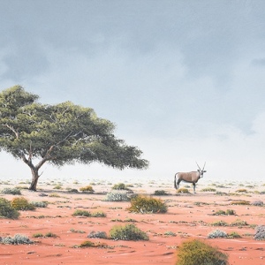 Desert
