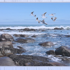 Sea Photograph