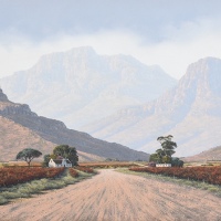 Karoo Vineyard