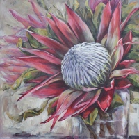 Flower Protea
