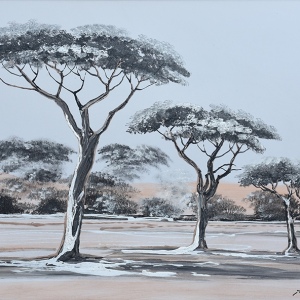 Black & White Trees